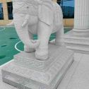 金昌 白麻花岗岩动物异形石雕-大象