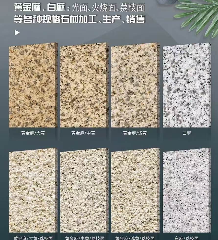 金昌 黄金麻白麻样品展示