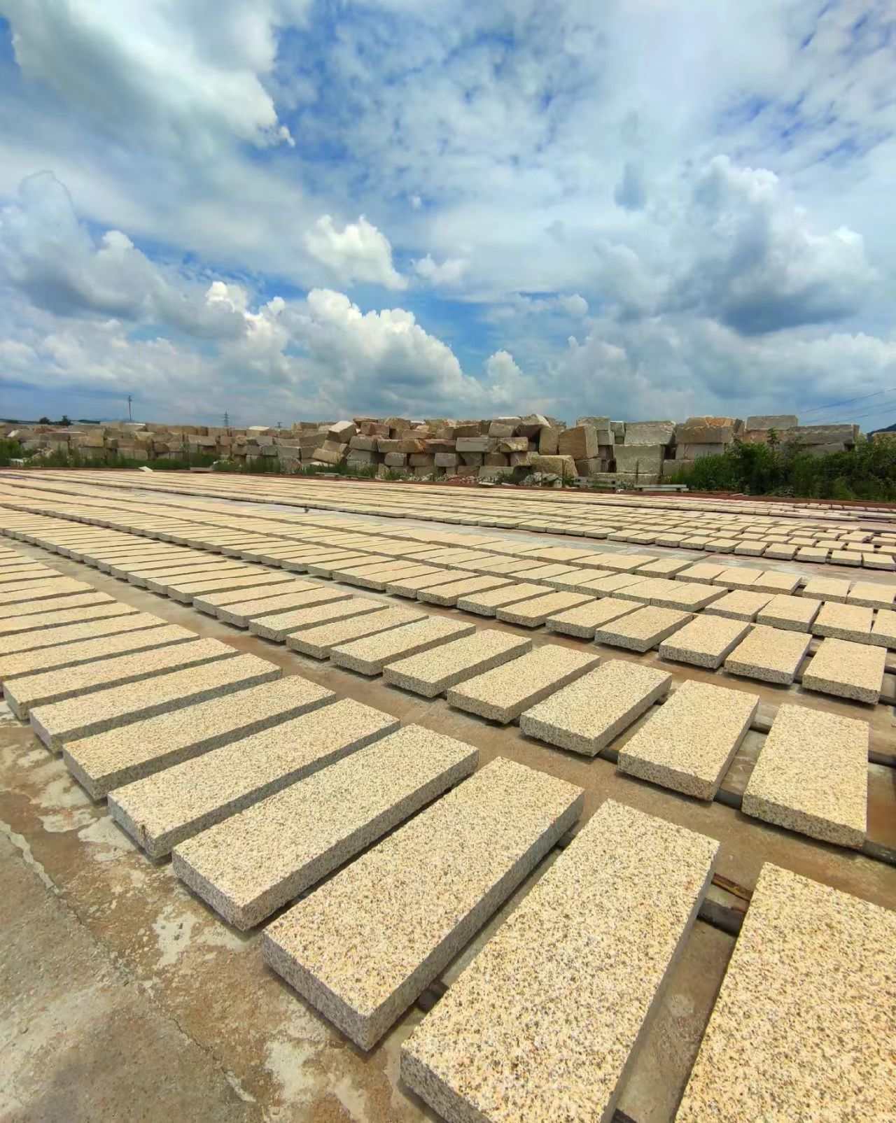 金昌 黄金麻花岗岩荔枝面地铺石防护中